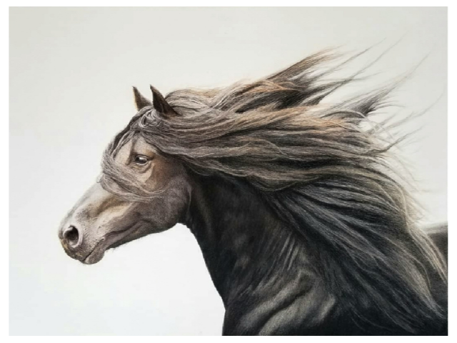"Running Free" giclee print "Running Free" giclee print