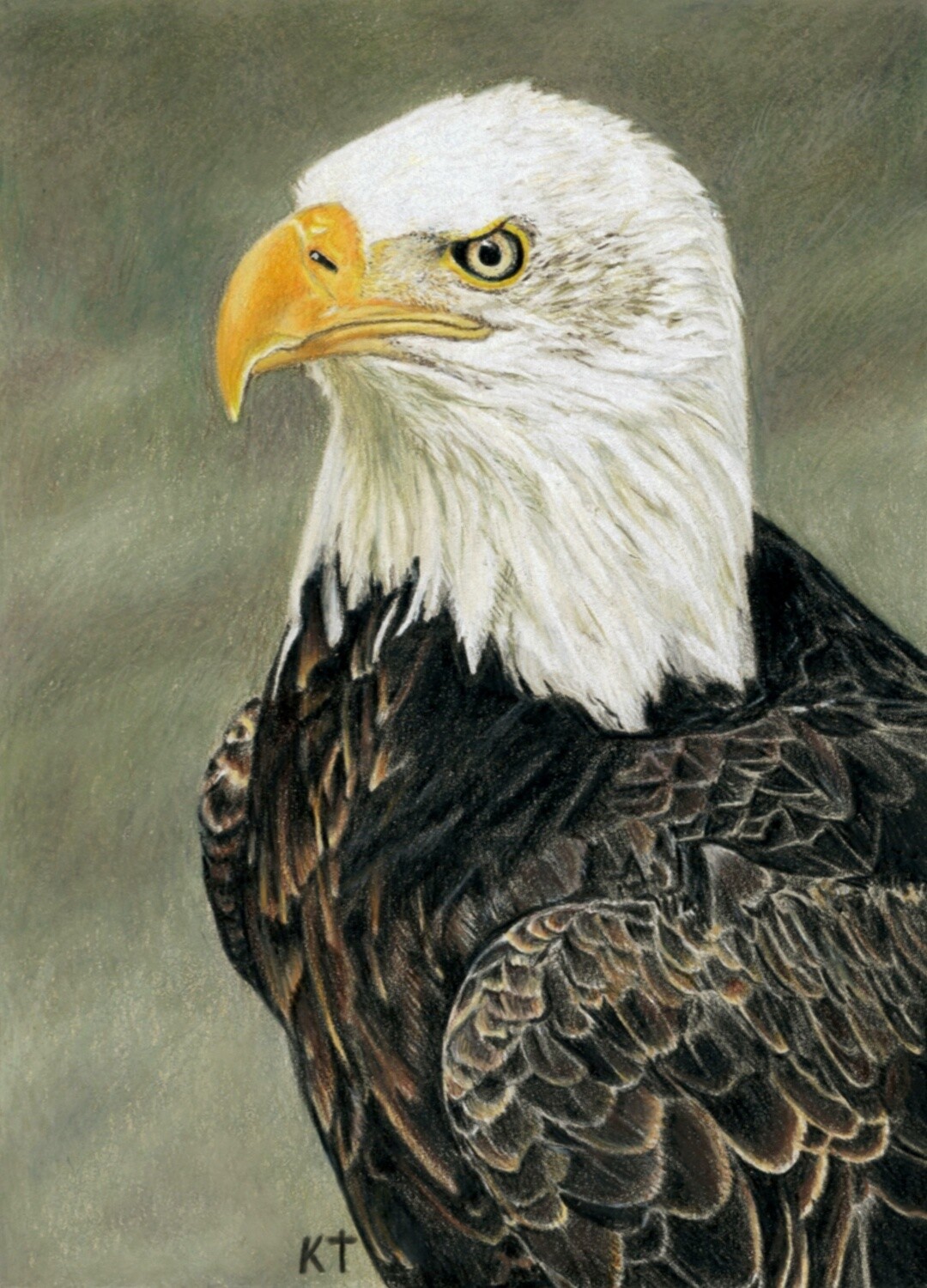 "Bald Eagle" giclee print "Bald Eagle" giclee print