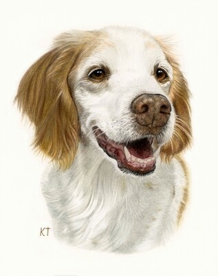 Custom 5x7 inch color portrait (head and shoulders) $170 Custom 5x7 inch color portrait (head and shoulders) $170