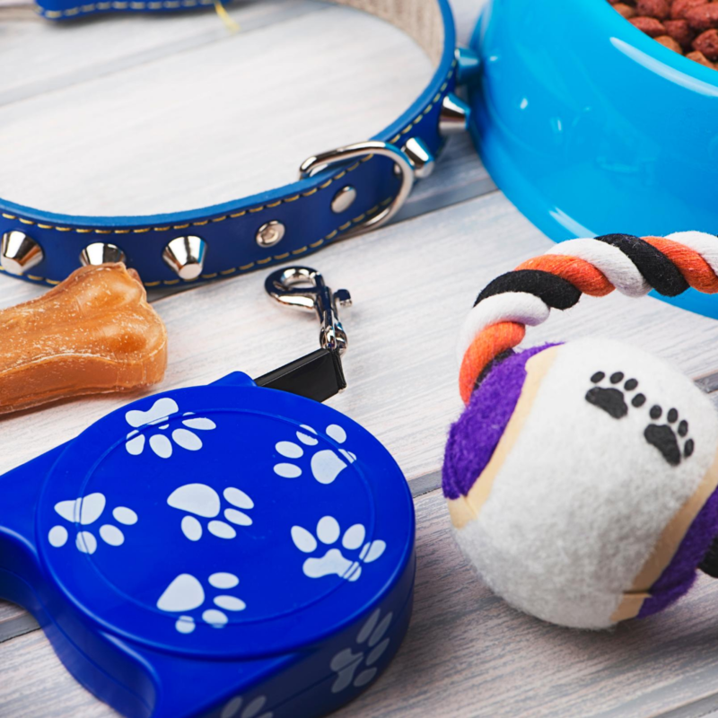 Dog accessories
