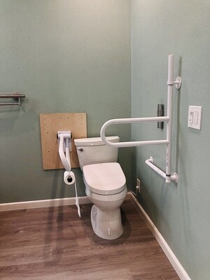 Toilet Safety