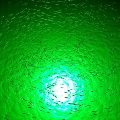 180 LED submersible fishing light