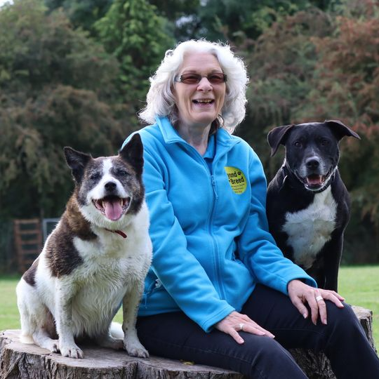 Canine Functional Characters Workshop - October Spectator