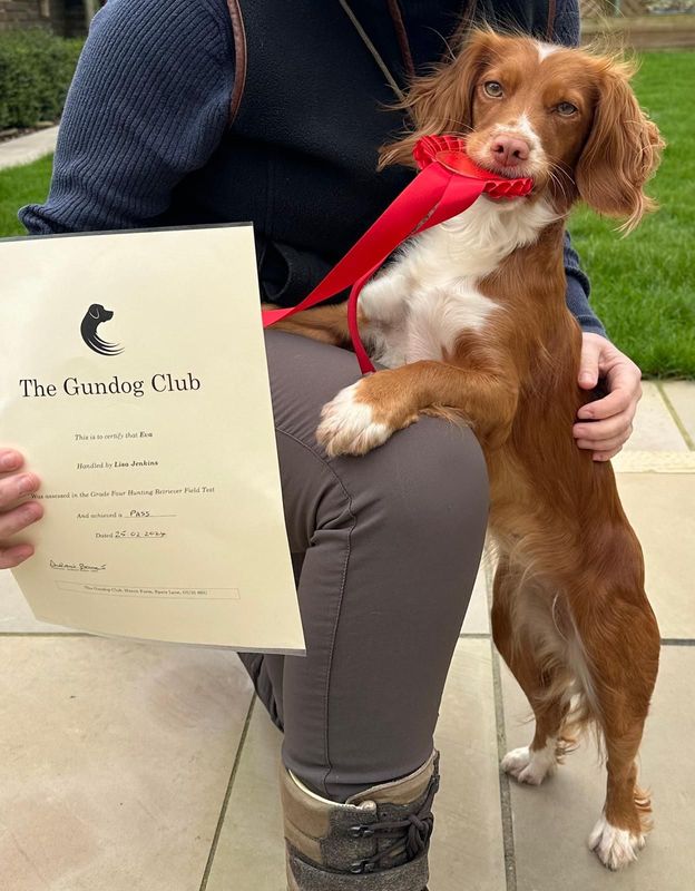 Advanced Gundog - Tuesday - Spaniels - November
