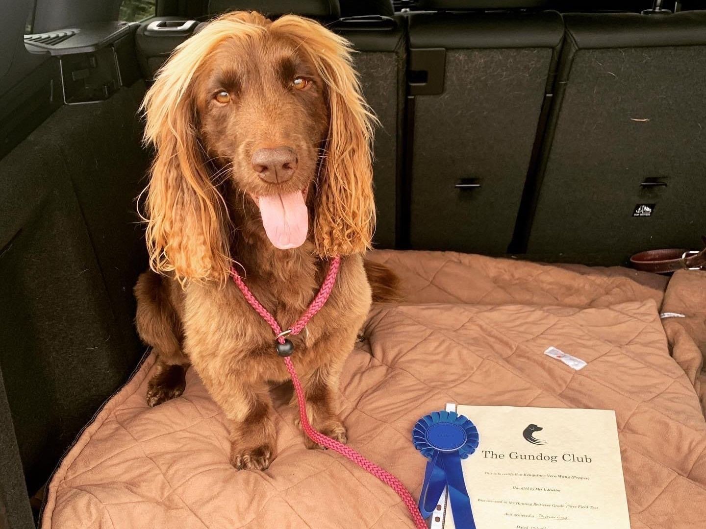 Intermediate Gundog - Tuesday - Retrievers