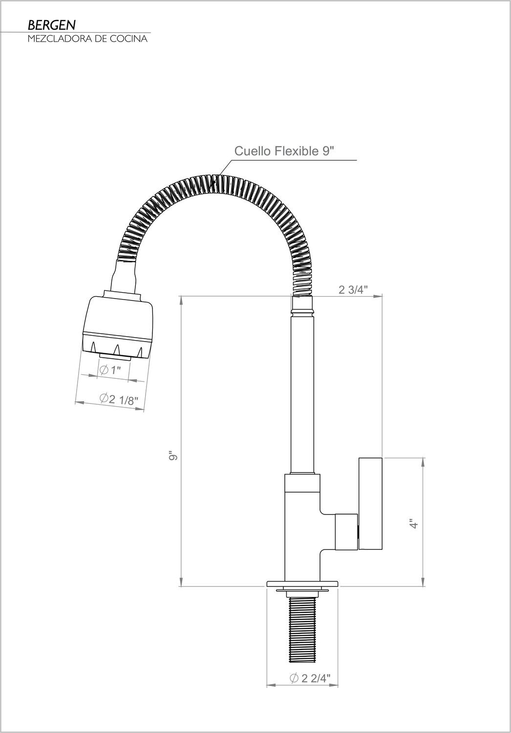 BERGEN SPRAYER KITCHEN FAUCET