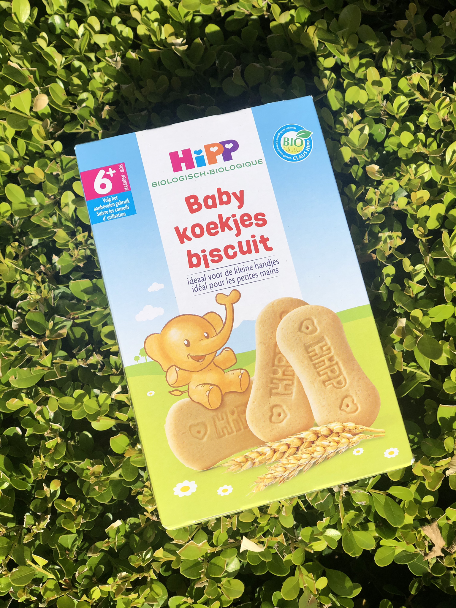 Euro Baby Organics Euro Baby Organics