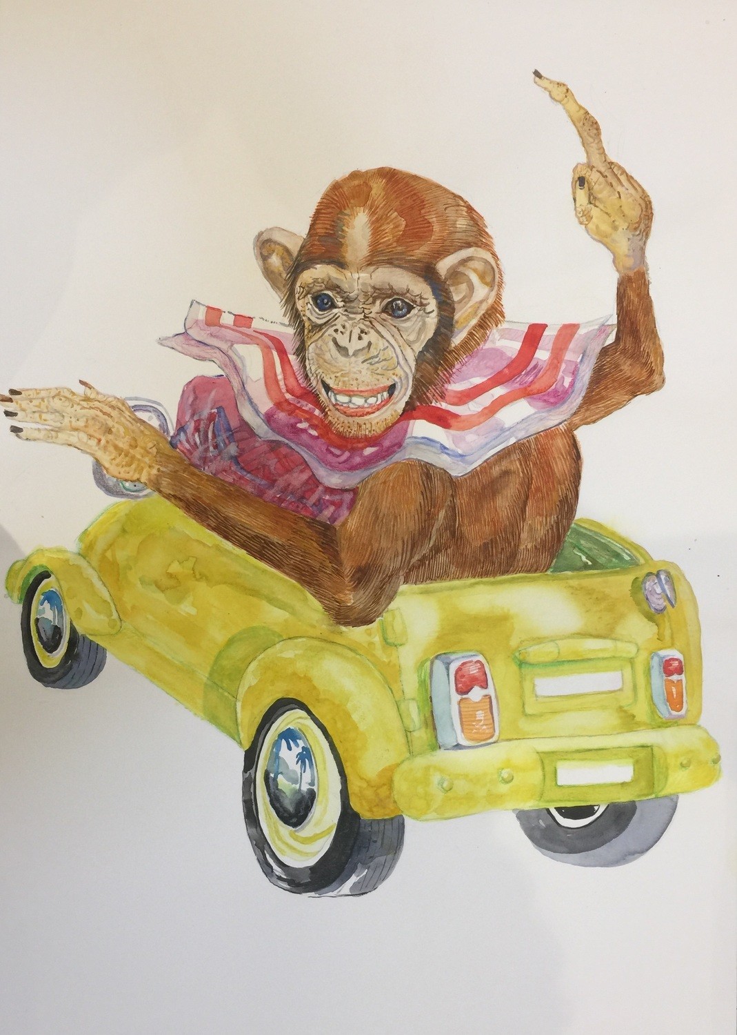 Monkey Trip