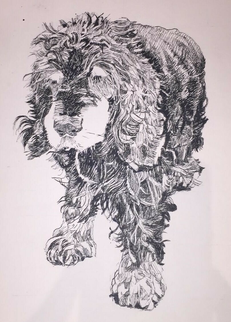 Custom Pet Portraits in pen A5/A4/A3