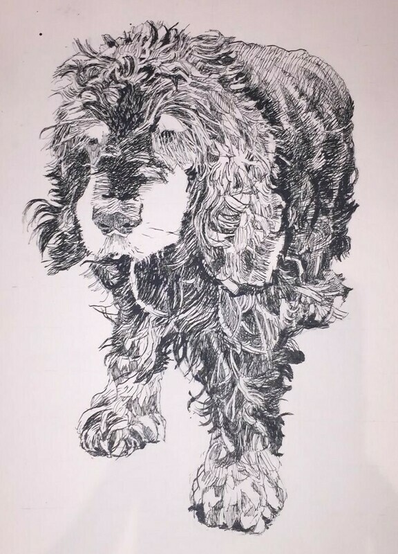 Custom Pet Portraits in pen A5/A4/A3