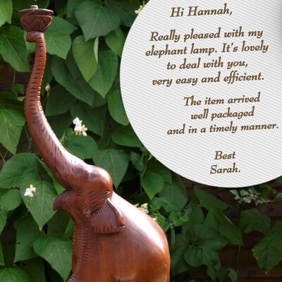 Sarah's elephant lamp