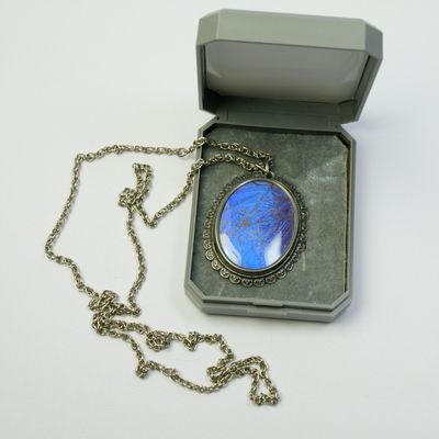 Vintage Morphy Butterfly Wing Pendant Necklace