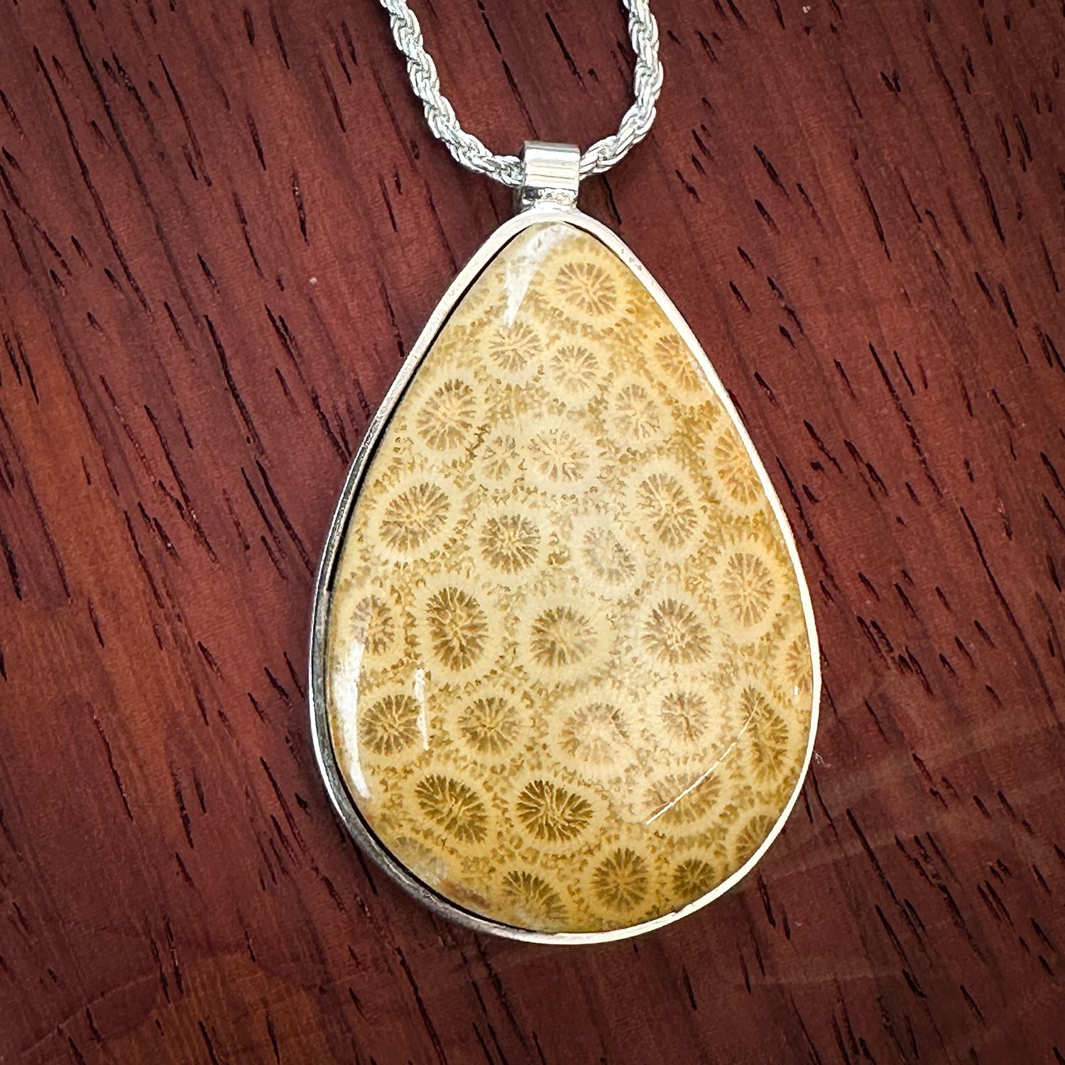 Fossil Sponge coral Pendant