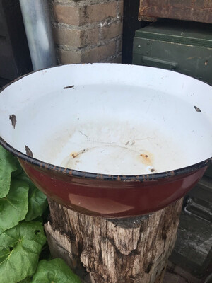 Schalen met oor