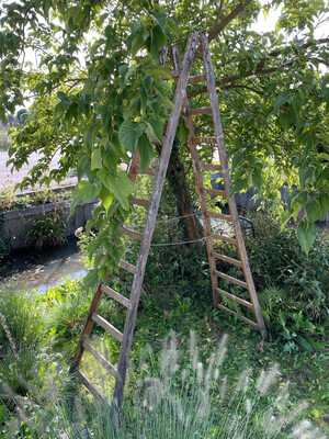 Ladder uitklapbaar
