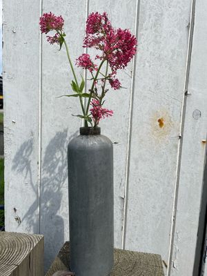 Kruiken