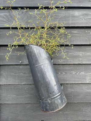 Kolenkit