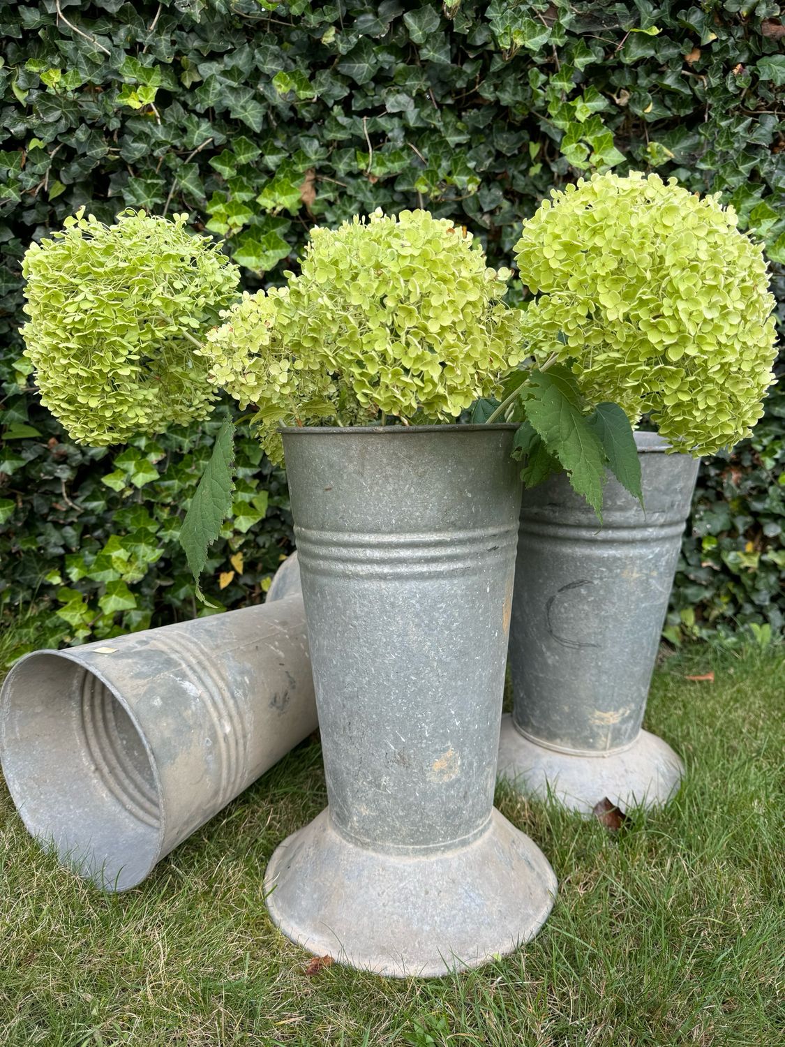 Bloemenvazen