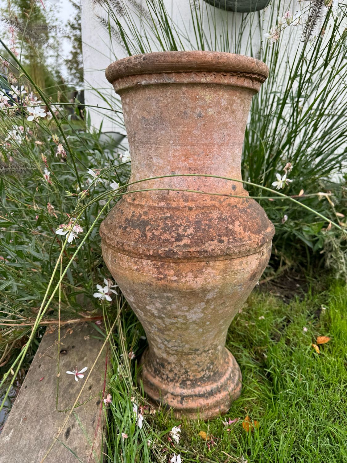 Terracotta vaas