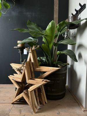 Houten ster