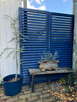 Blauwe luiken