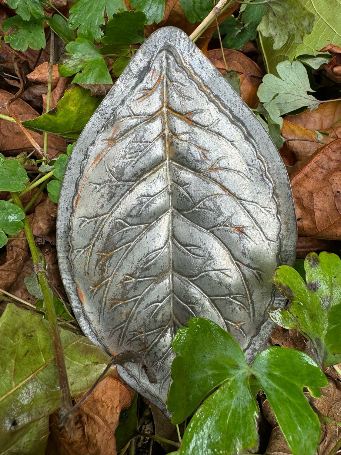 Chocolademal blad