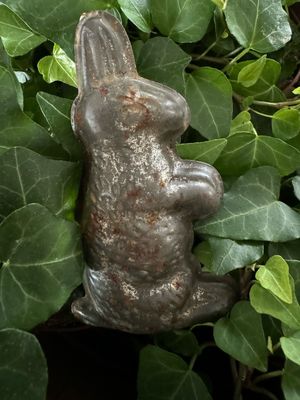 Chocolademal haasje
