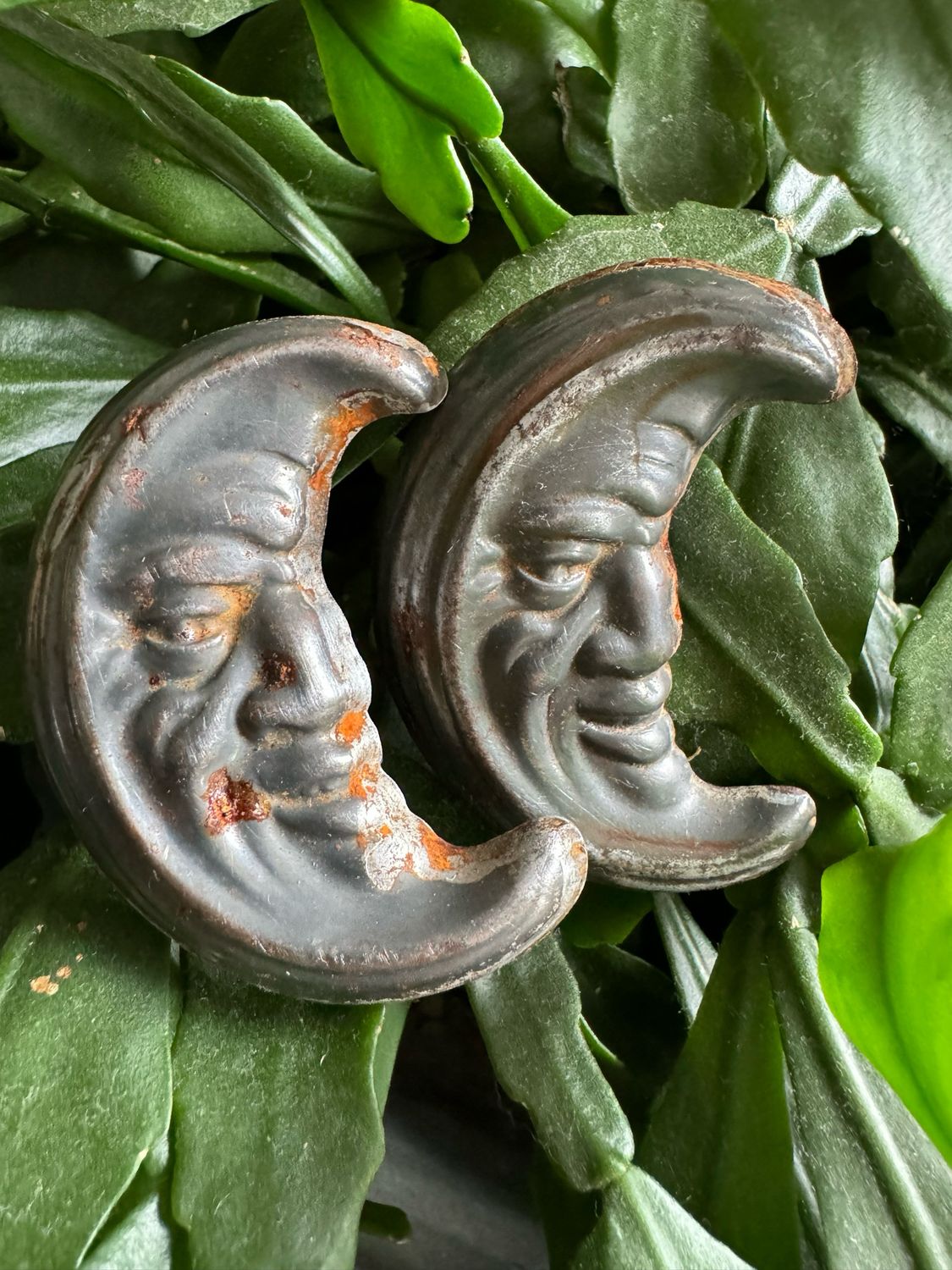 Chocolademal maantje