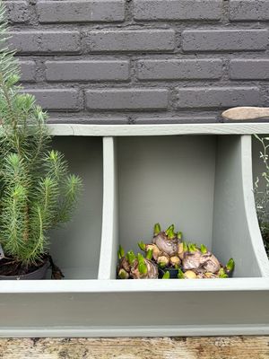 Gruttersbak groen