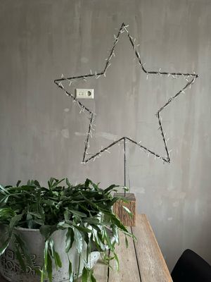Ster op hout