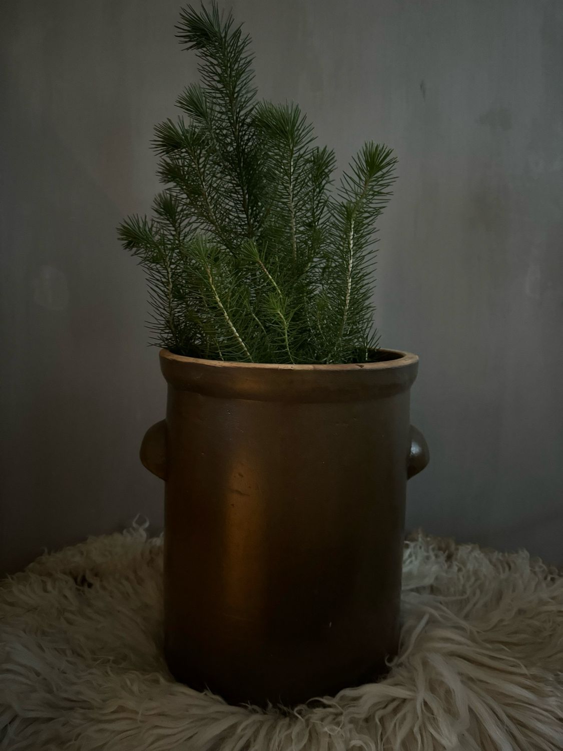 Aardewerk pot