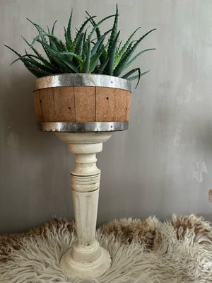 Zuil pilaar