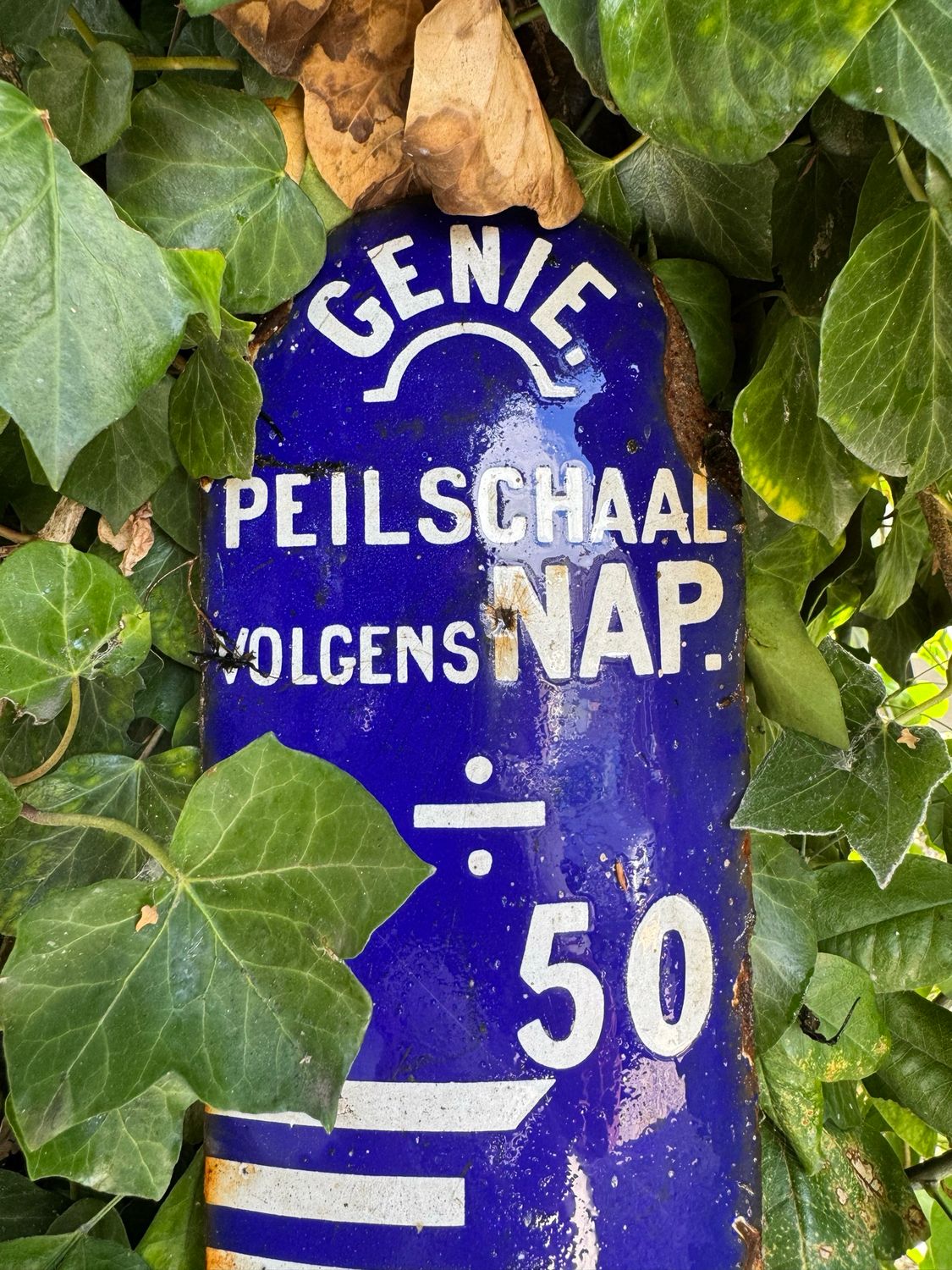 Peilschaal