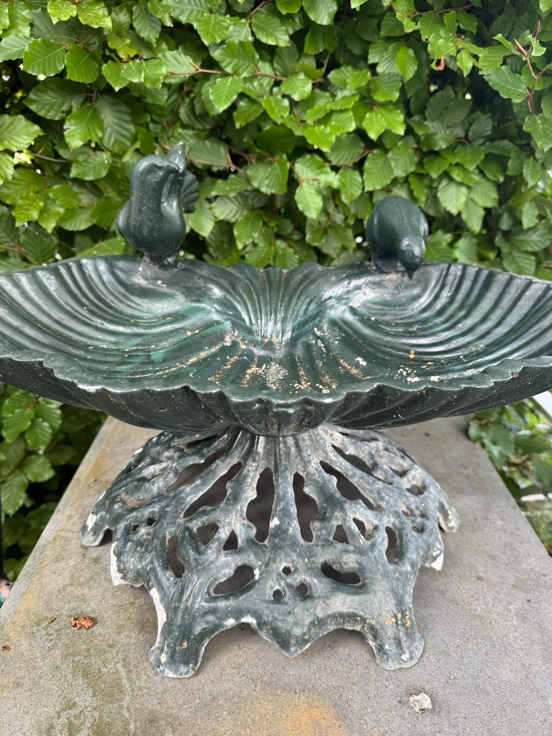 Vogeldrinkbad