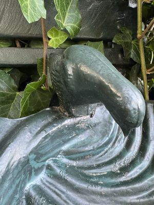 Vogeldrinkbad