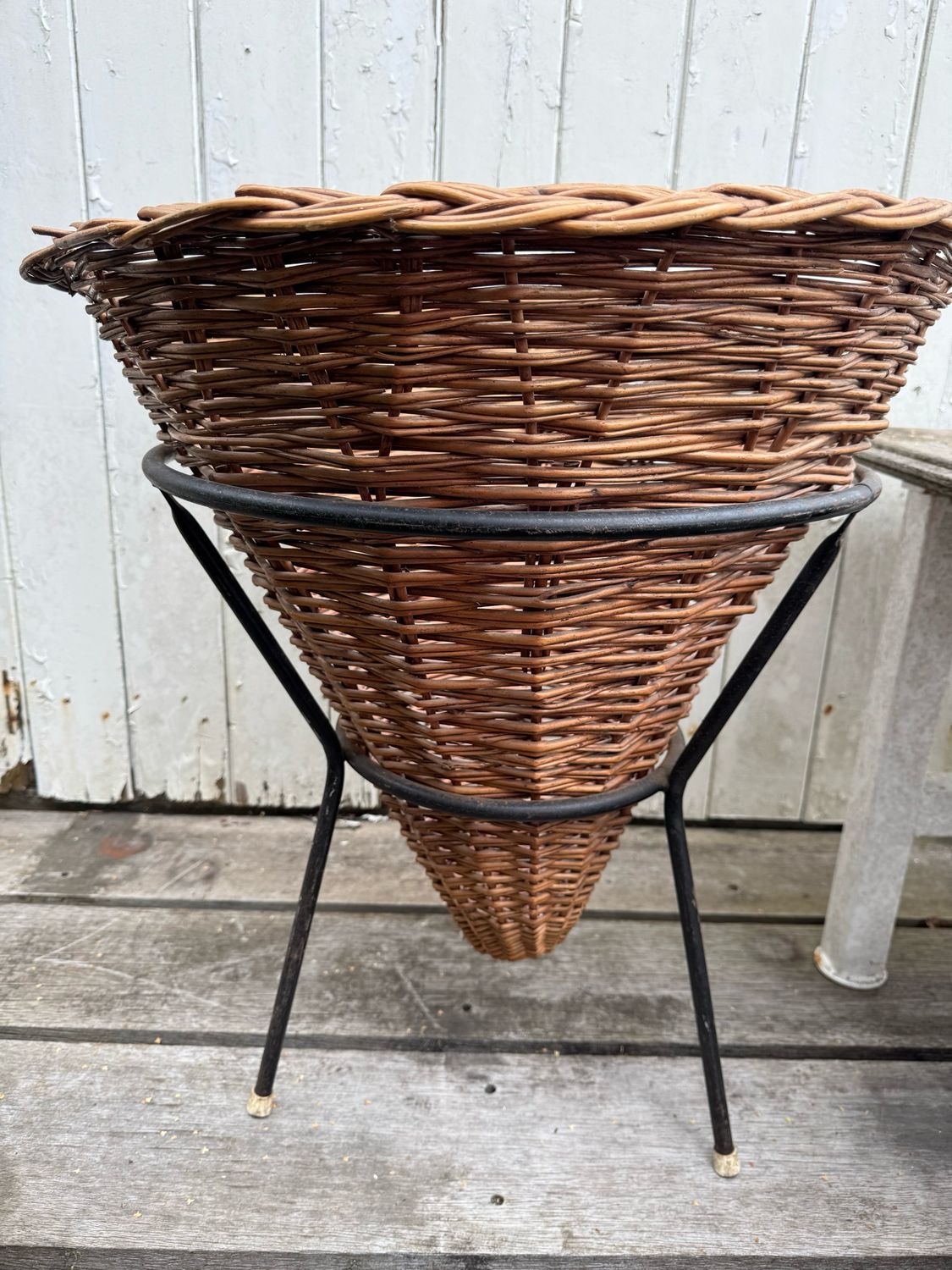 Rotan puntmand