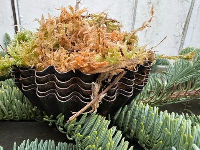 Oude blikken en mallen