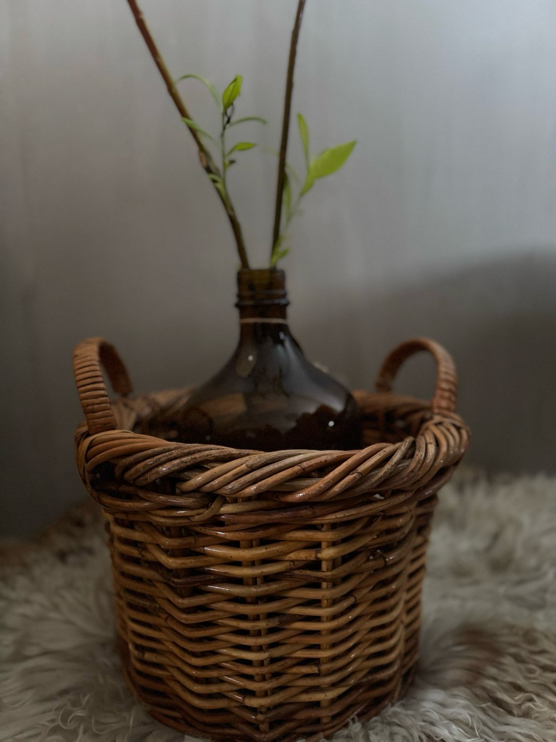 Rieten mandje