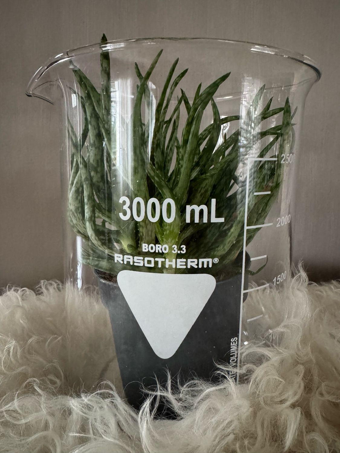 Bekerglazen laboratorium glas