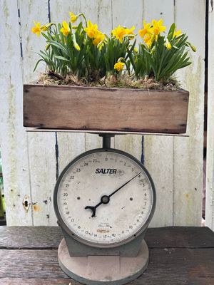 Weegschaal Salter