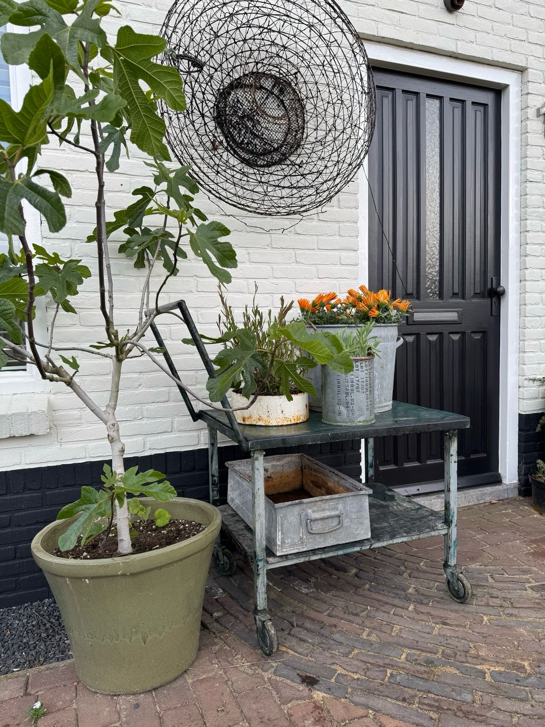 Magazijn/plantenkar