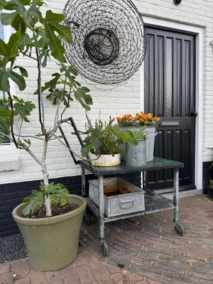 Magazijn/plantenkar