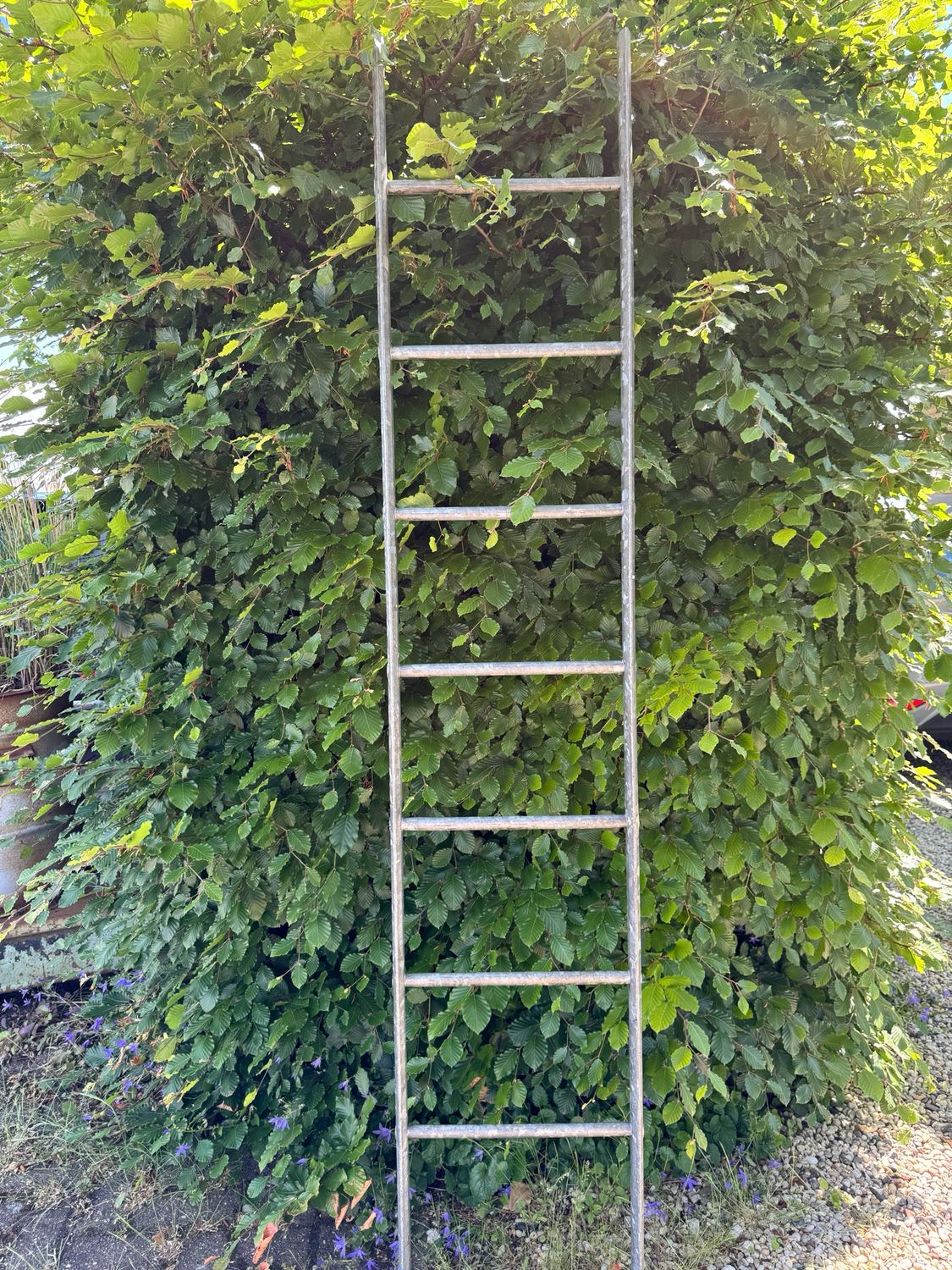 Ladder