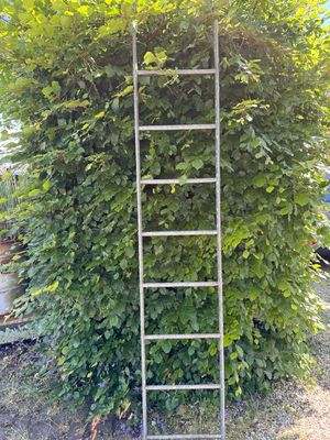 Ladder