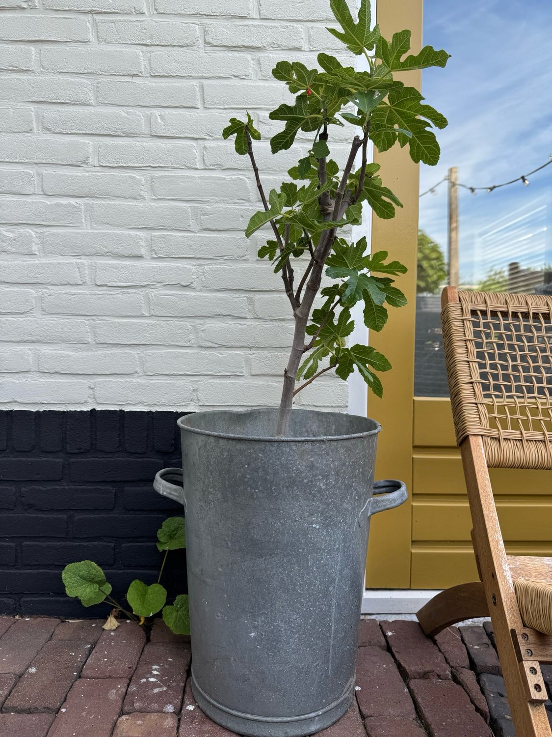 Vuilnisemmer
