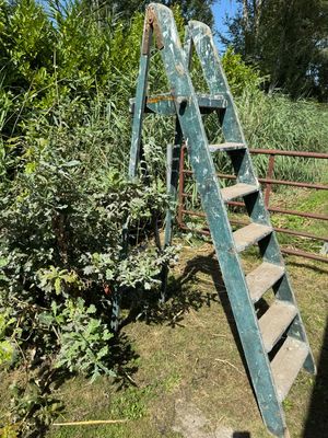 Oude ladder