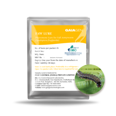 FAW LURE (Pack of 10) Pheromone lure for Fall Armyworm FAW LURE (Pack of 10) Pheromone lure for Fall Armyworm