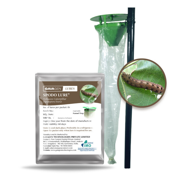 Spodo Lure® Combo Pack - Tobacco Caterpillar (Spodoptera litura) Lures &amp; Funnel Traps(Fero-T®) | Pack of 10 each