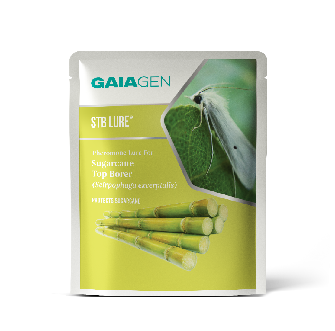 STB Lure® Pheromone for Sugarcane Top Borer (Scirpophaga excerptalis) | Pack of 10