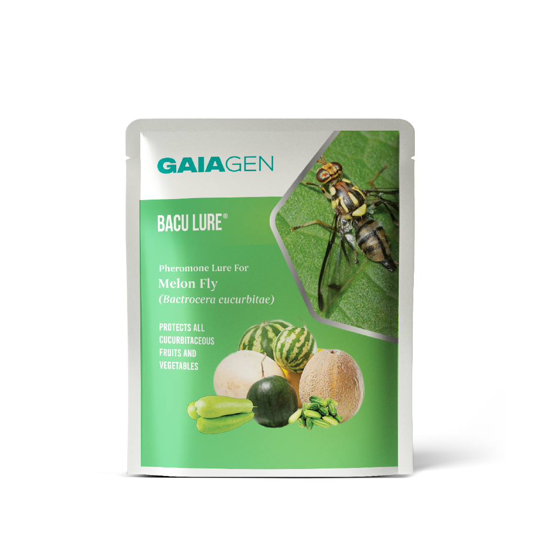 Bacu Lure® Pheromone for Melon Fly (Bactrocera cucurbitae) | Pack of 10